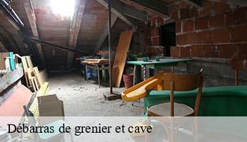Débarras de grenier et cave  paris-11-75011 Delsuc Sinai