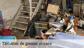 Débarras de grenier et cave  paris-20-75020 Delsuc Sinai