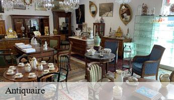 Antiquaire  paris-7-75007 Delsuc Sinai