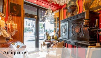 Antiquaire  paris-13-75013 Delsuc Sinai
